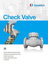 check-valve